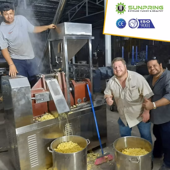 Prezzo di fabbrica Fritto Crudo Kurkure Cheetos Snack Croccante Nik Nak Niknak Estrusore Alimentare Che Fa La Macchina Di Elaborazione Linea Di Produzione Processore Di Estrusione Attrezzature Per Impianti